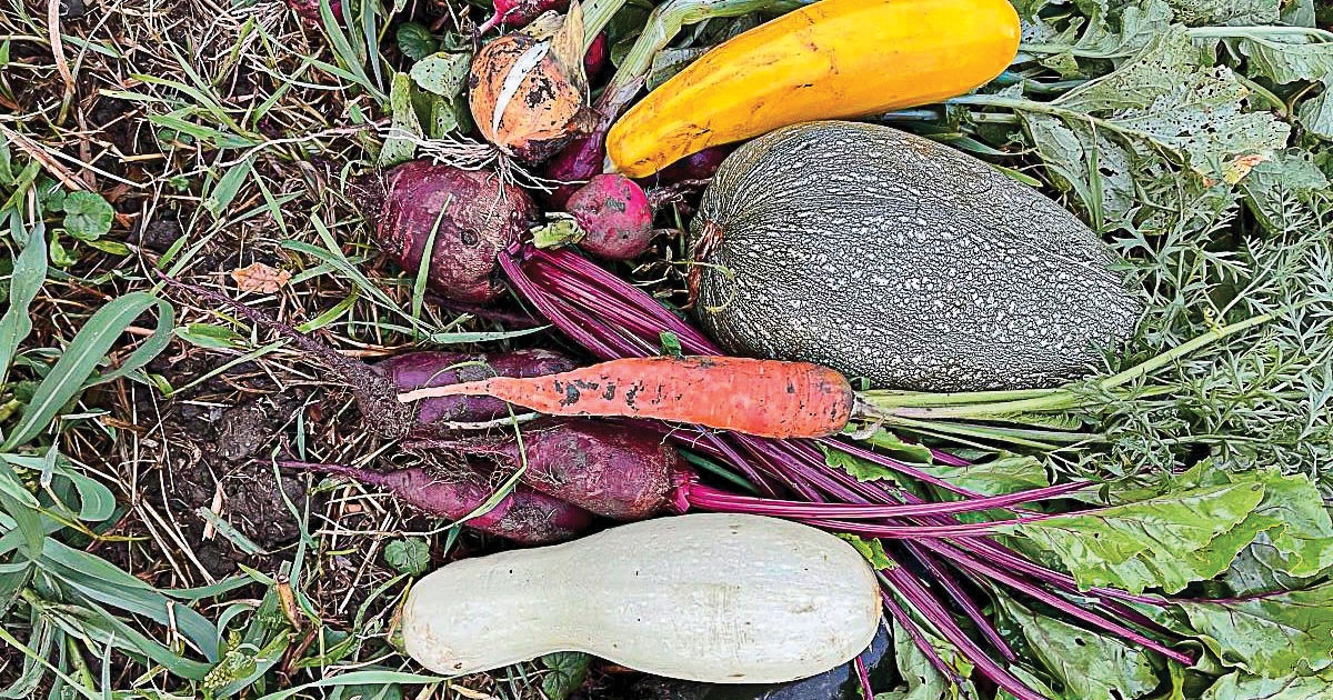 Beérett munkájuk gyümölcse